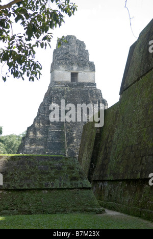 View of Temple I  from the Acropolis del Norte. Tikal, Guatemala. Stock Photo