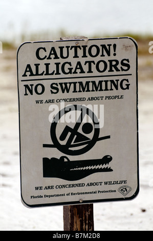 alligators caution alamy