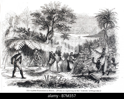 Slavery, Caribbean Sugar Plantation Stock Photo - Alamy