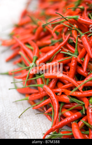 Close up of Thai red chillies on a stall Pak Khlong Talad fresh fruit and vegetable market in Bangkok Thailand Stock Photo