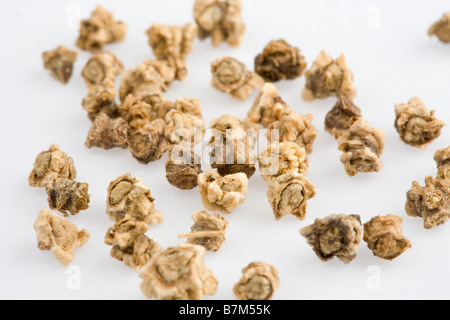 Beetroot seeds Stock Photo