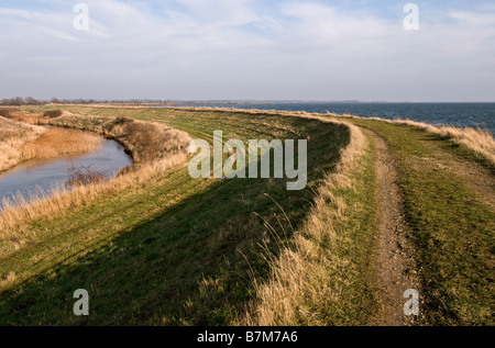 The sea wall on Blackwater Estuary in Essex. Stock Photo