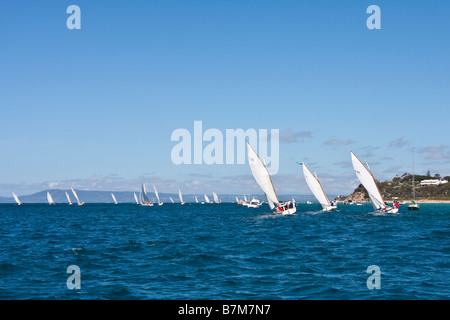 Couta boats sailing off Sorrento, Mornington Peninsula, Victoria, Australia. Arthur's Seat on the horizon. Stock Photo