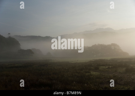 In the autumn early morning mist, Nant Gwynant valley Snowdonia, North Wales Stock Photo