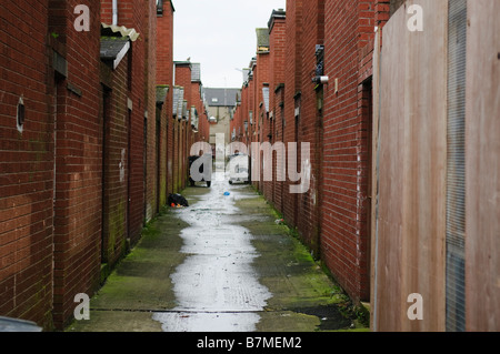 Rear alleyway in Belfast (known as 'an entry') Stock Photo