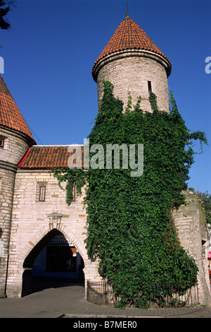 Estonia, Tallinn, old town, city walls, Viru gate Stock Photo