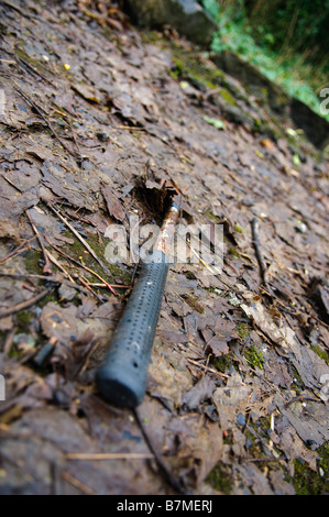 Rusty hatchet lying on ground covered in leaves in the rain Stock Photo