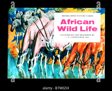 Brooke Bond PG Tips picture card album African Wildlife issued 2nd January 1961 Stock Photo