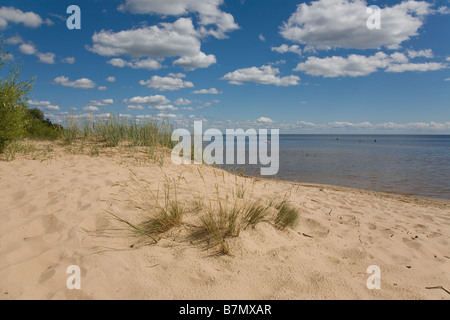 Kauksi, Ida-Viru County, Estonia, Europe Stock Photo