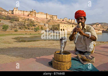 A snake charmer and his Indian or spectacled cobra (naja naja) performing near the Amber Palace. Stock Photo