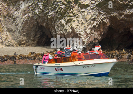 A view of a guided boat trip to the Ballestas Islands as tourists take photographs of the sea lion colony. Stock Photo