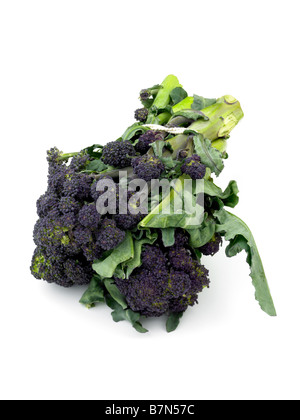 A bunch of purple sprouting broccoli Stock Photo - Alamy
