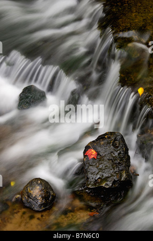 Wagner Creek in Autumn, Michigan Stock Photo Alamy