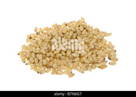fresh pine nuts isolated on a white background Stock Photo