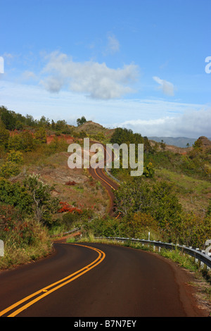 A road winds through the green landscape of Big Island, Hawaii USA Stock Photo