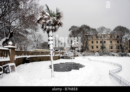 A palm tree by The Royal Pavilion Brighton covered in snow February 2009 Stock Photo