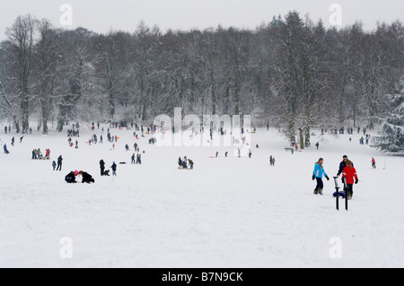 Crowds of People playing Having Fun In The Snow Priory Park Reigate Surrey Winter Stock Photo