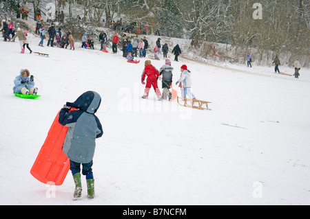 People playing having Fun Enjoying the Snow Sled Run In Reigate Priory Park Surrey UK Stock Photo