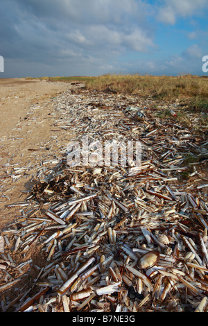 Razor Shell wreck - Birkdale Green Beach on the Sefton Coast, UK Stock Photo