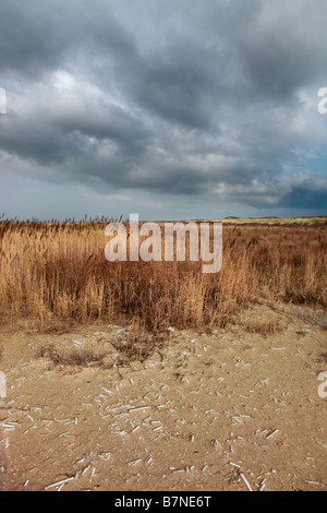 Birkdale Green Beach on the Sefton Coast, UK Stock Photo