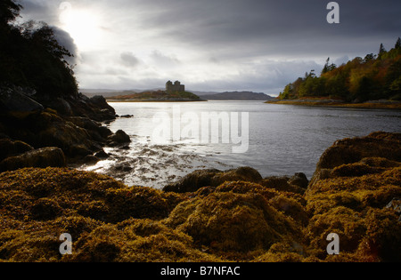 View across Loch Moidart to Castle Tioram rocks covered in seaweed in foreground Highlands Scotland Stock Photo