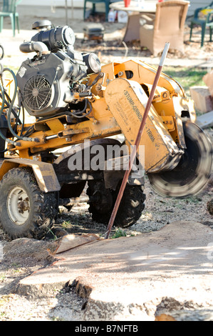 Stump grinder used to remove stumps after tree removal Stock Photo