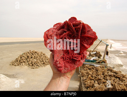 Tunisia desert rose by Chott Djerid Salt Lake Stock Photo