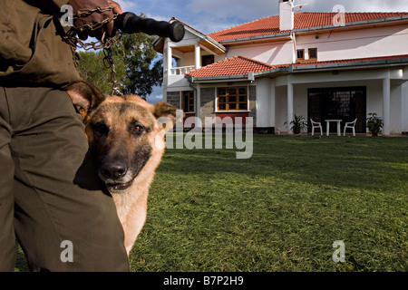 A security guard patrolling the compound of a house with a trained ...