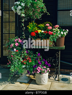 Assorted planted containers with Hanging basket Stock Photo