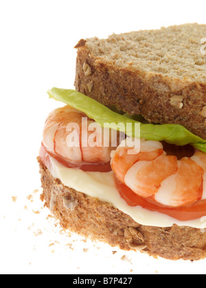 Fresh Healthy Prawn Sandwich With Lettuce Tomatoes And Mayonnaise Isolated Against A White Background With No People And A Clipping Path Stock Photo