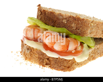 Tiger Prawn Sandwich Stock Photo