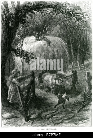 hay-cart-farming-bull-gate-