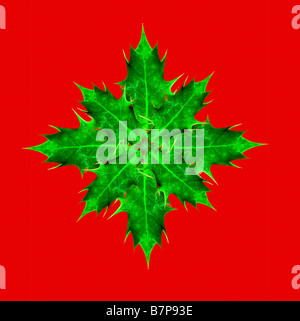 holly snowflake Stock Photo