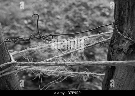 Close-up of a rope tied between to wooden poles Stock Photo