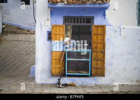 A bread seller leans out to feed cats from her tiny window storefront in Chefchaouen medina, Morocco. Stock Photo