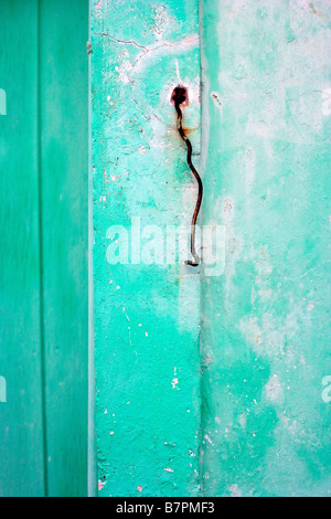 a bent and rusted metal hook on a colorful Bahamas wall Stock Photo