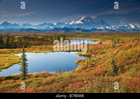 Scenic view of tundra ponds and Fall colors with Mt. Mckinley in the background, Denali National Park, Alaska Stock Photo