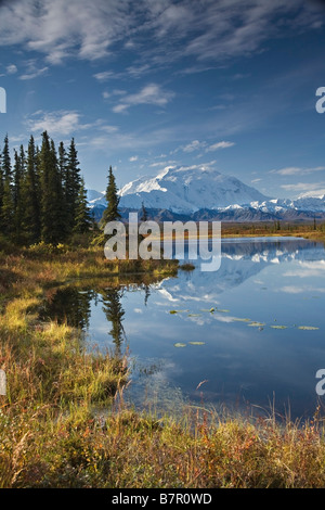 The north face and peak of Mt. Mckinley is reflected in a small tundra pond in Denali National Park, Alaska Stock Photo