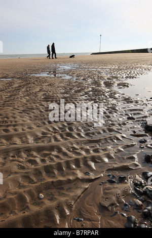 Two people walking along a beach with their dog Stock Photo