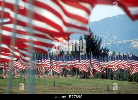 1200 American flags fly over graves of military dead in Salinas, California, USA Stock Photo