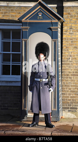 Coldstream Guardsman on duty Stock Photo