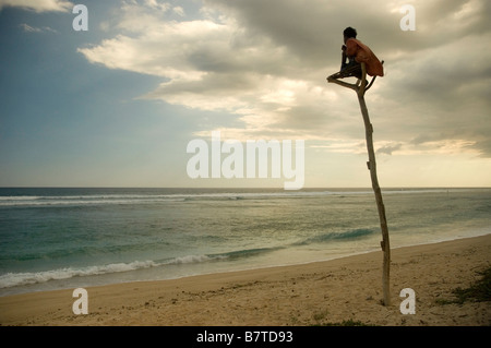 A fisherman perched on his lookout pole on Sumba's wild west coast Stock Photo