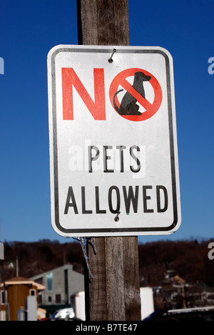 no pets allowed sign, Long Island, New York Stock Photo