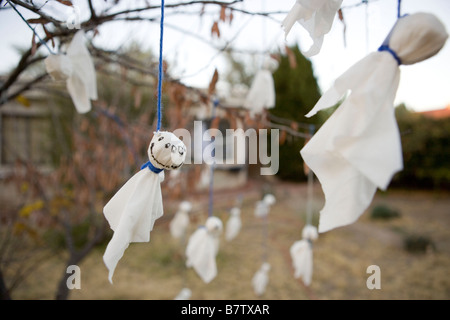 hand made ghost decorations hanging from a tree in front yard, Halloween decoration Stock Photo
