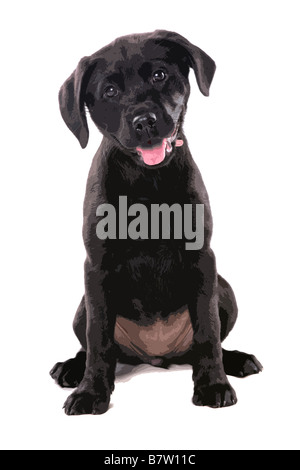Black Labrador Puppy popart portrait illustration Stock Photo