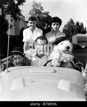 Quelle vie de chien The Shaggy Dog  Year: 1959 USA Fred MacMurray  Director: Charles Barton Stock Photo