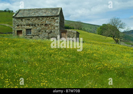 Barn near Muker in Swaledale with a wildflower meadow Stock Photo