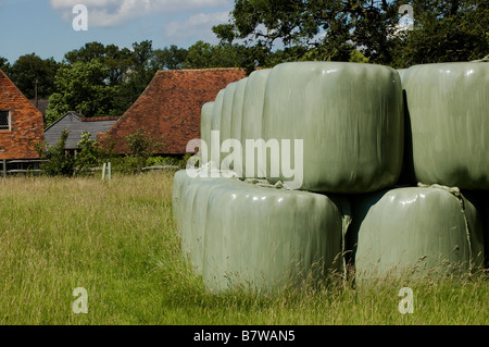 silage bales in field Stock Photo