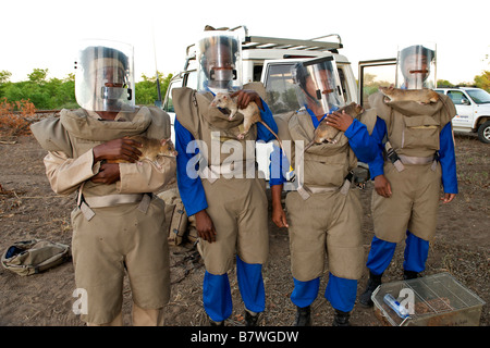 APOPO mine action program personnel in protective gear posing with rats used to sniff out UXO in Gaza Province Mozambique. Stock Photo
