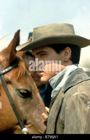 Flaming Star  Year: 1960 USA Director: Don Siegel Elvis Presley Stock Photo